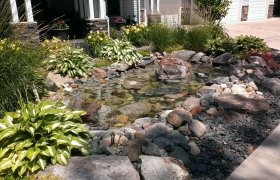Front yard landscape of a rock pond surrounded by flowering plants