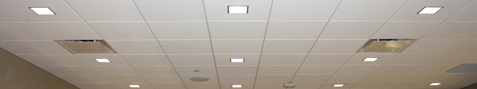 Traditional Accoustical Ceiling Tiles