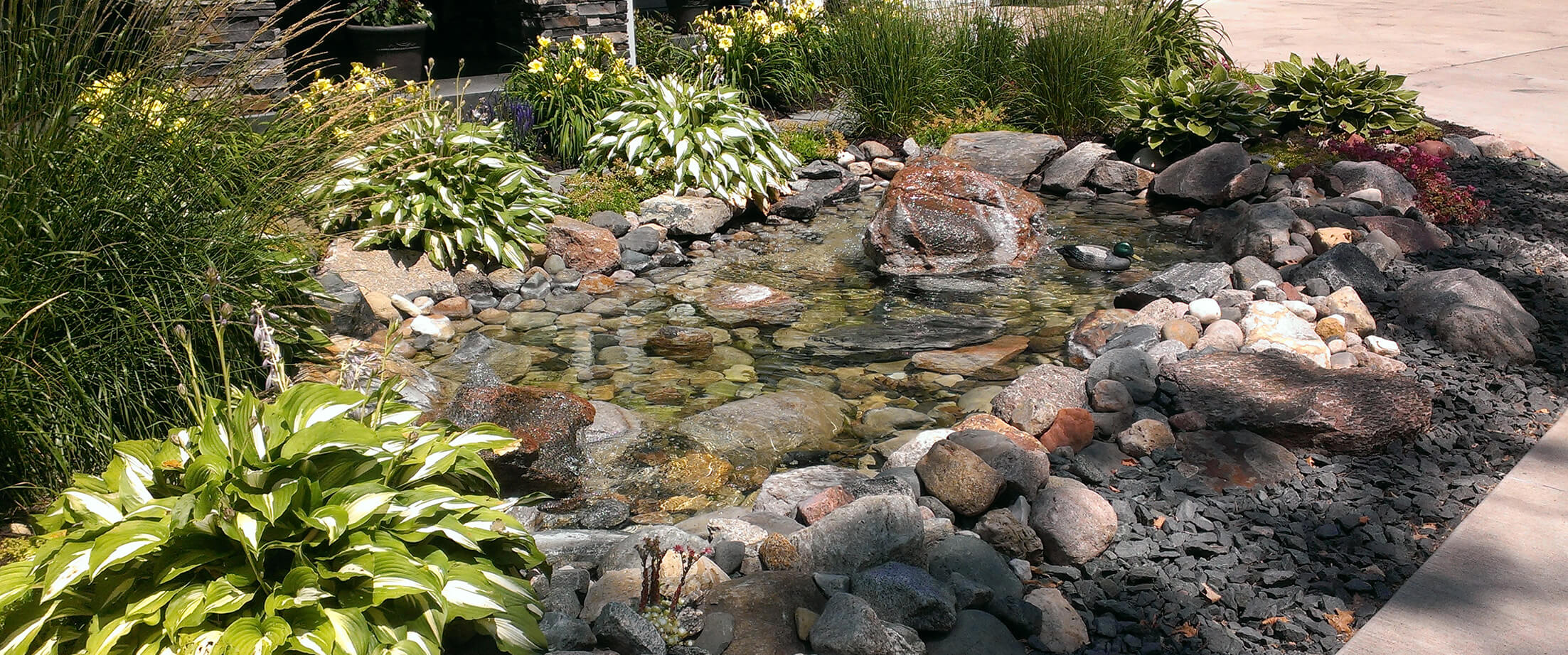 Backyard landscaped area with a pond and green flowering plants