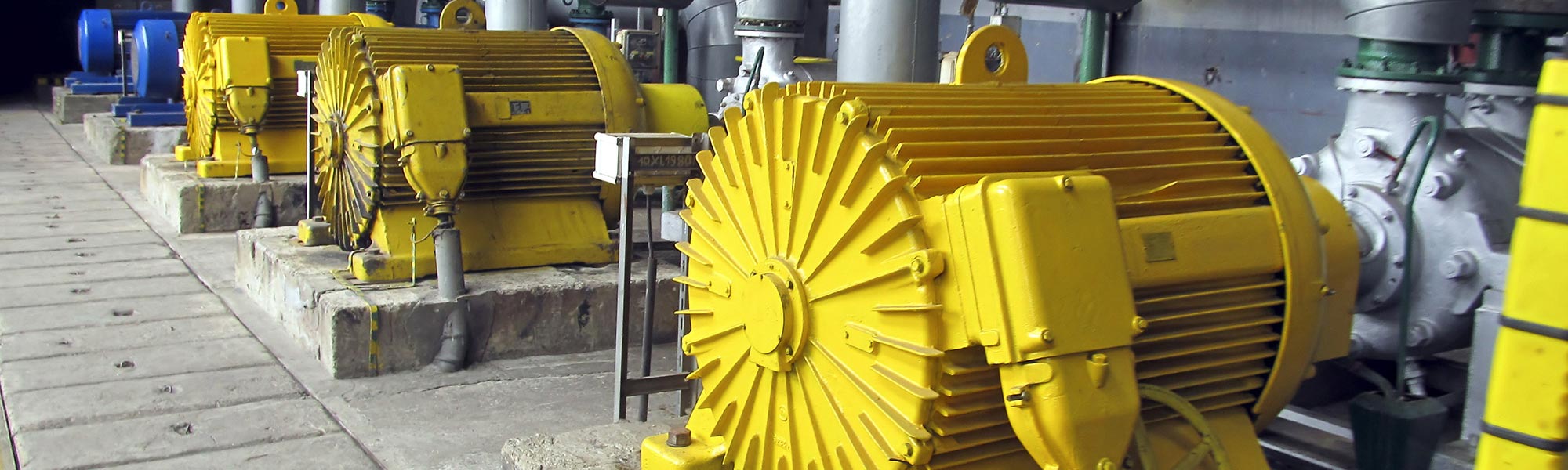 Row of yellow and blue electric motors in an industrial facility